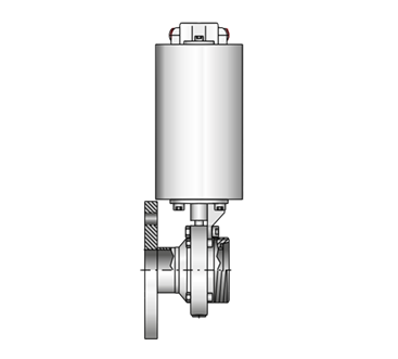 Válvula en disco 4307 PN10-G